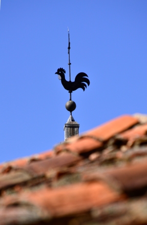 Aves II. Gallo de la Iglesia de San Esteban, en Segovia, Inspiración para poetas.